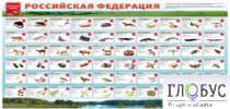 Стенд "Красная книга РФ" - «globural.ru» - Туймазы