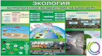 Стенд "Экология. Антропогенное воздействие на биосферу" - «globural.ru» - Туймазы