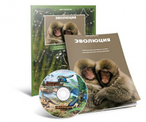 Электронное наглядное пособие «Эволюция» - «globural.ru» - Туймазы