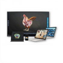 Интерактивное наглядное 3D пособие «Познание: Птицеводство» - «globural.ru» - Туймазы