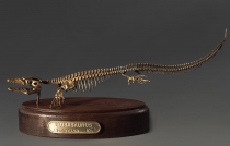 Модель скелета мозазавра Mosasaurus - «globural.ru» - Туймазы