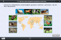 Интерактивные курсы. Биология 7 класс. Расширенный - «globural.ru» - Туймазы