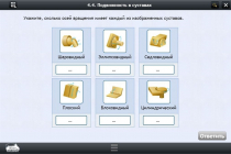 Интерактивные курсы. Биология 8 класс. Базовый  - «globural.ru» - Туймазы