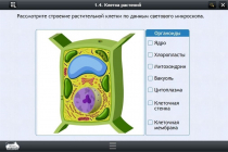 Интерактивные курсы. Биология 9 класс. Базовый - «globural.ru» - Туймазы