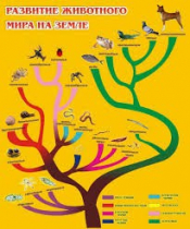Стенд "Развитие животного мира на земле" - «globural.ru» - Туймазы
