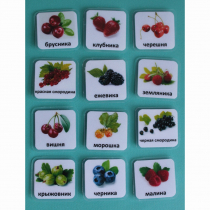 Набор карточек "Ягоды" - «globural.ru» - Туймазы