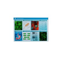 Стенд-планшет светодинамический «Изучение экологии бактерий» - «globural.ru» - Туймазы