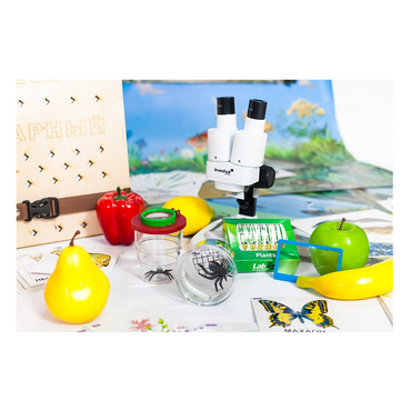 Учебно-методический набор для проектной деятельности в ДОО №1–ЕН (химия, биология, анатомия) - «globural.ru» - Туймазы