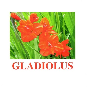 "Flowers-1" ("Цветы-1") английские карточки Домана - «globural.ru» - Туймазы