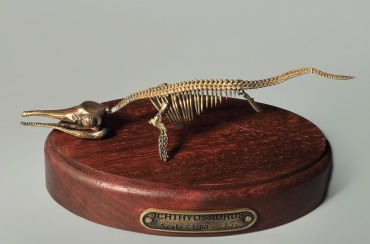 Модель скелета ихтиозавра Ichthyosaurus - «globural.ru» - Туймазы