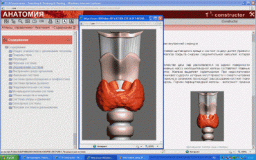 Анатомия онлайн. Школьный атлас - «globural.ru» - Туймазы