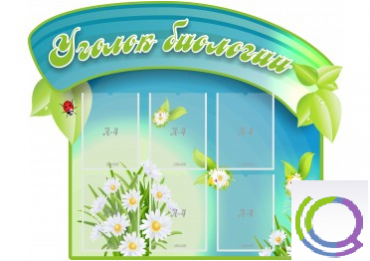 Стенд "Уголок биологии" - «globural.ru» - Туймазы