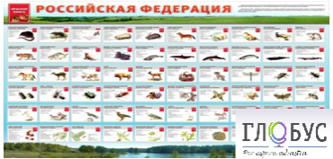 Стенд "Красная книга РФ" - «globural.ru» - Туймазы