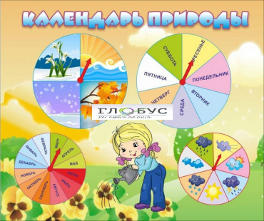 Стенд "Календарь природы" (вариант 1) - «globural.ru» - Туймазы