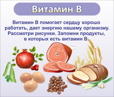 Стенд "Витамин В" - «globural.ru» - Туймазы