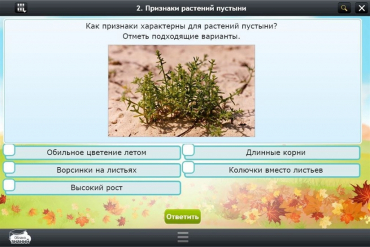 Интерактивные курсы. Окружающий мир 3 класс. Базовый - «globural.ru» - Туймазы