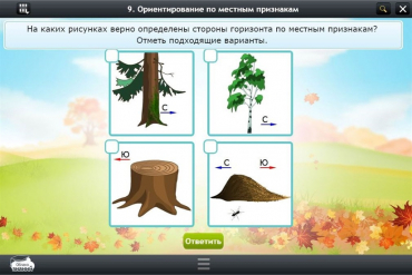 Интерактивные курсы. Окружающий мир 1 класс. Базовый - «globural.ru» - Туймазы