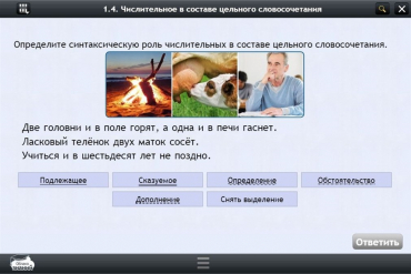 Интерактивные курсы. Русский язык 6 класс. Базовый - «globural.ru» - Туймазы