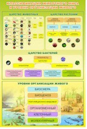 Стенд "Классификация животного мира" - «globural.ru» - Туймазы